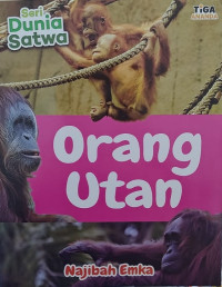 Image of Orang Utan